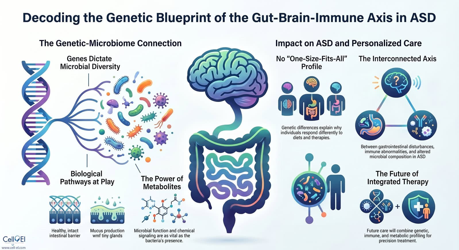 Gut and Brain connection and what it means for ASD